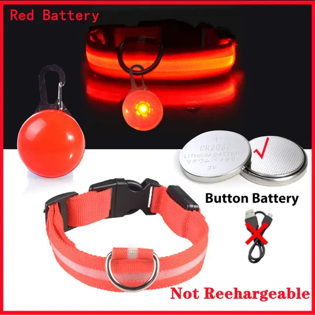 Collars, Leashes, and Harnesses -USB Charging LED Dog Collar with Detachable Pendant