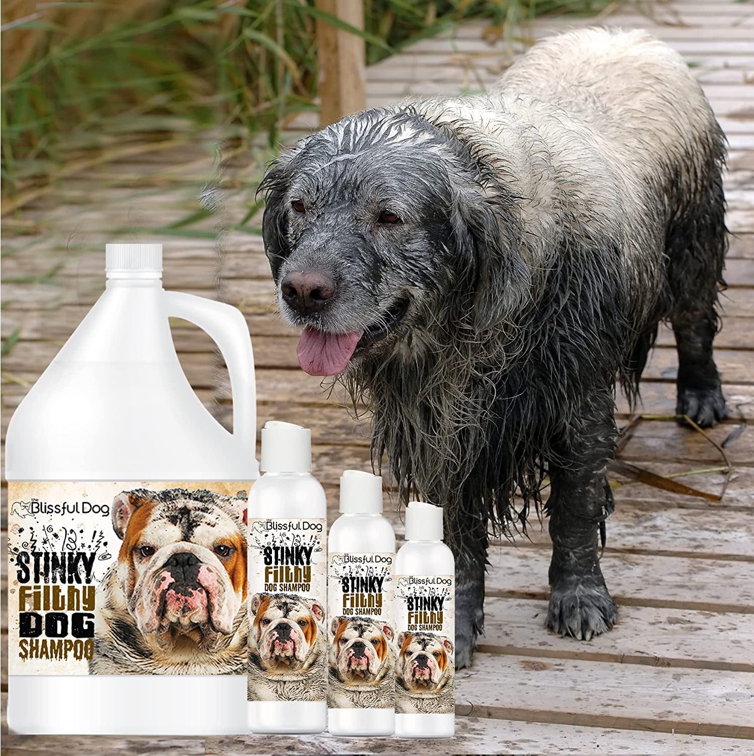 Grooming Supplies - Stinky Filthy Dog Shampoo, 16 Oz