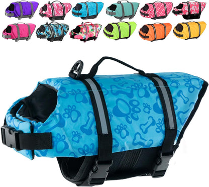 Collars, Leashes, and Harnesses - PetLife Jacket