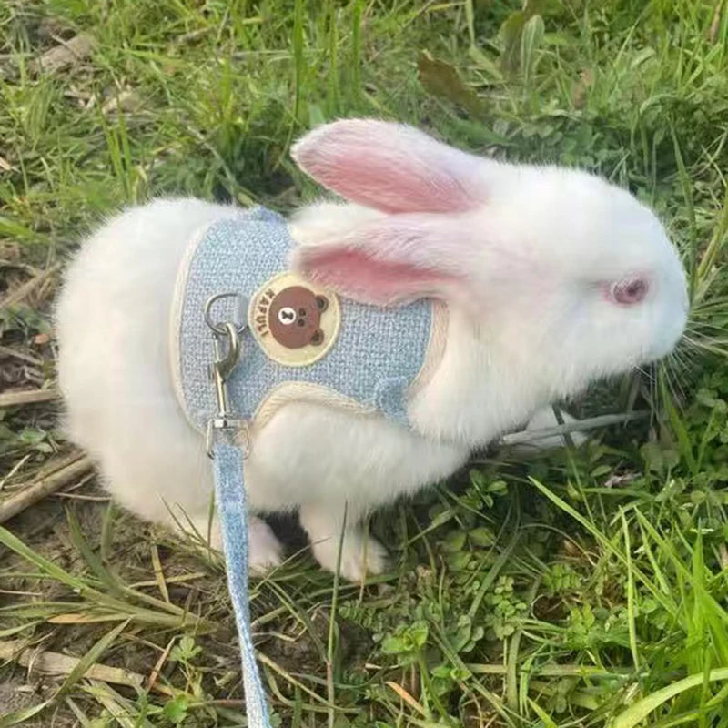 Collars, Leashes, and Harnesses - Newest Cute Rabbit Harness and Leash Set - Bunny Pet Accessories