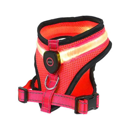 Collars, Leashes, and Harnesses - LED Light Dog Harness