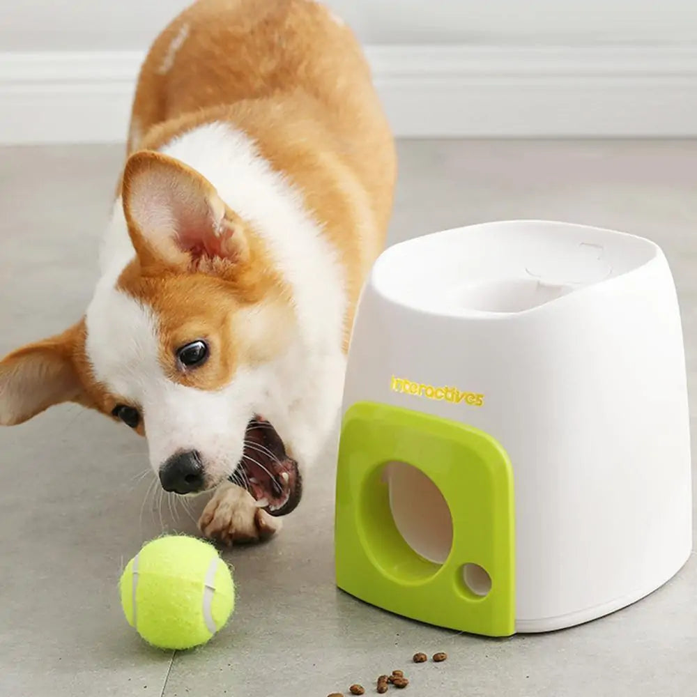 Toys - Automatic Interactive Pet Toy