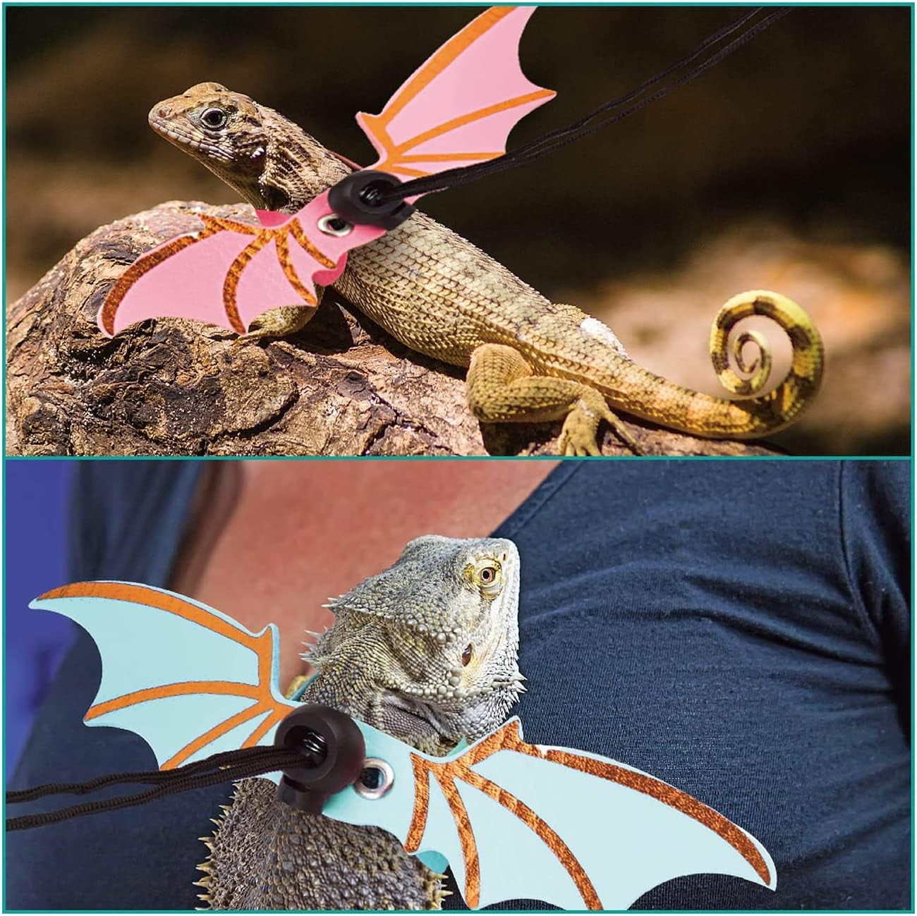 Tanks and Enclosures - Bearded Dragon Carrier and Leather Leash with Wings