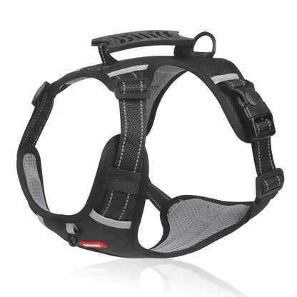 Collars, Leashes, and Harnesses - Reflectride