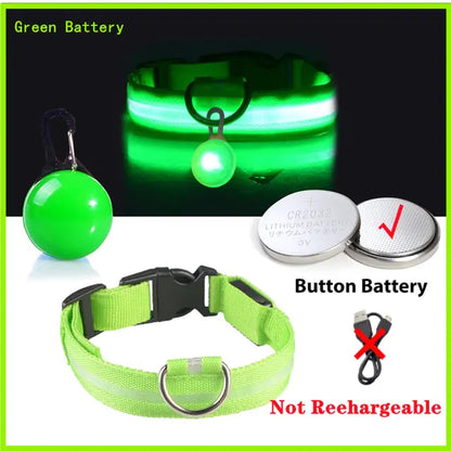 Collars, Leashes, and Harnesses -USB Charging LED Dog Collar with Detachable Pendant