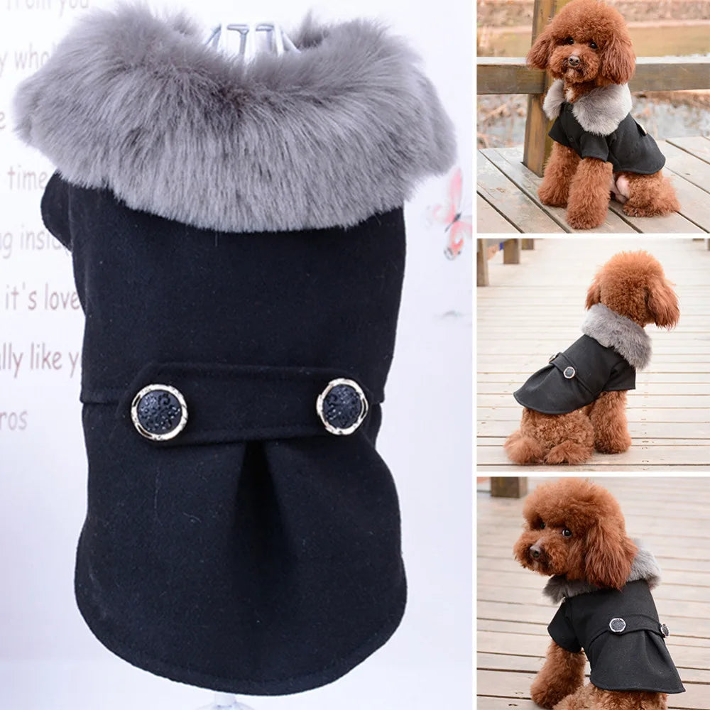 Apparel and Accessories - Pet Fur Collar Jacket