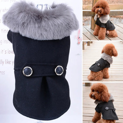 Apparel and Accessories - Pet Fur Collar Jacket