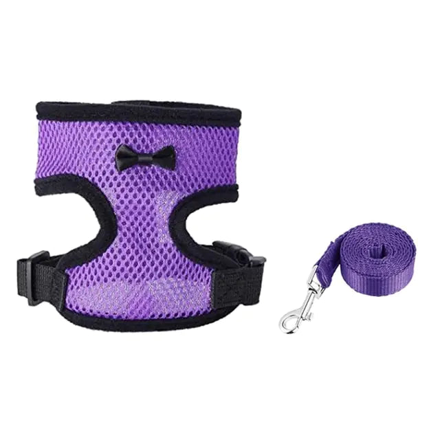 Collars, Leashes, and Harnesses - Chicken Harness with Leash