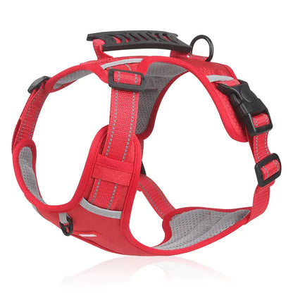 Collars, Leashes, and Harnesses - Reflectride