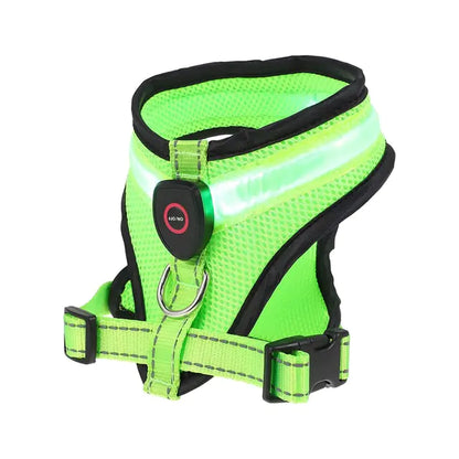 Collars, Leashes, and Harnesses - LED Light Dog Harness