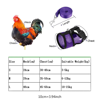 Collars, Leashes, and Harnesses - Chicken Harness with Leash