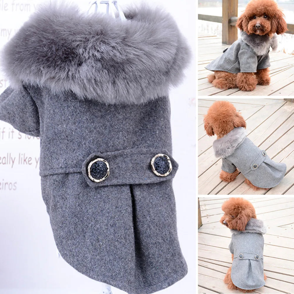 Apparel and Accessories - Pet Fur Collar Jacket