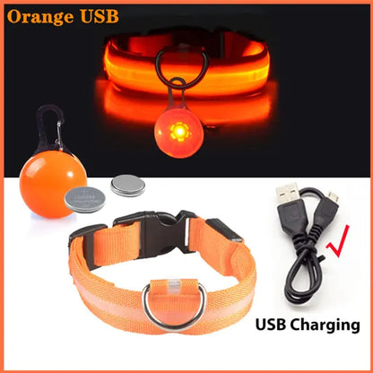 Collars, Leashes, and Harnesses -USB Charging LED Dog Collar with Detachable Pendant