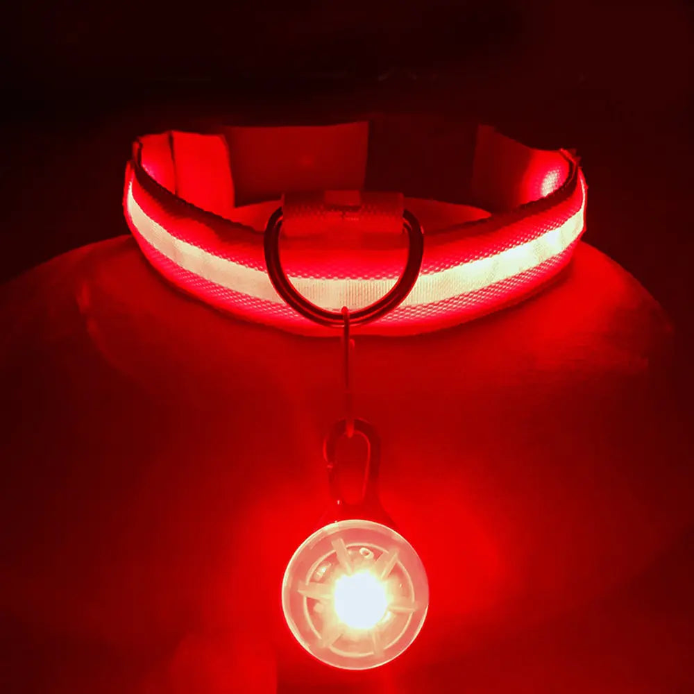 Collars, Leashes, and Harnesses -USB Charging LED Dog Collar with Detachable Pendant