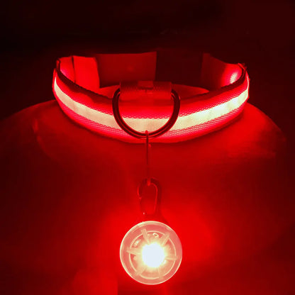 Collars, Leashes, and Harnesses -USB Charging LED Dog Collar with Detachable Pendant