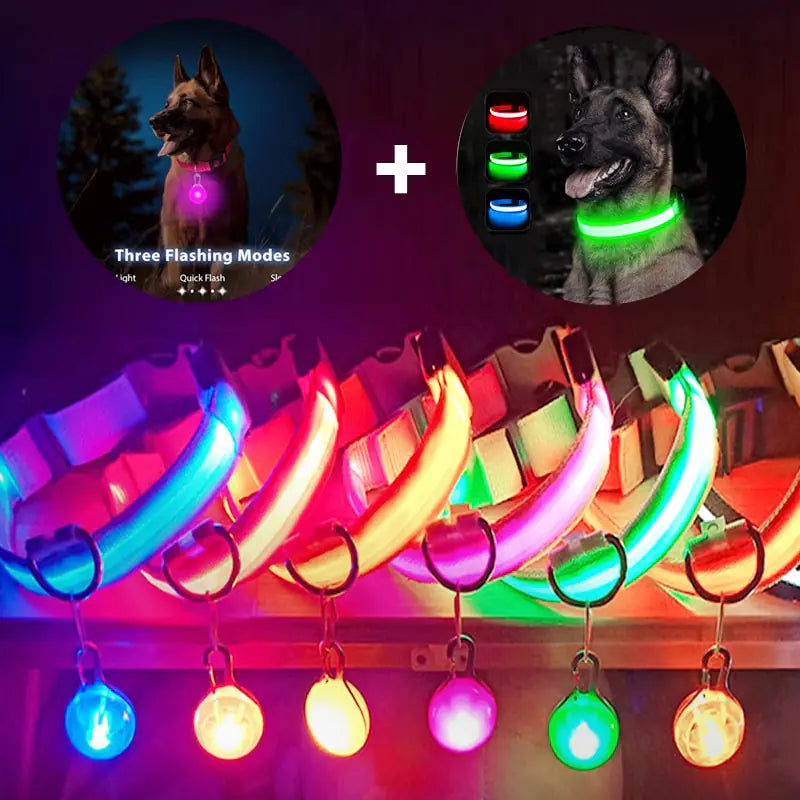 Collars, Leashes, and Harnesses -USB Charging LED Dog Collar with Detachable Pendant