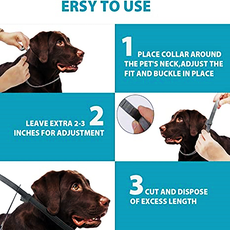 Health and Wellness Products - Anti-Flea Pet Necklace