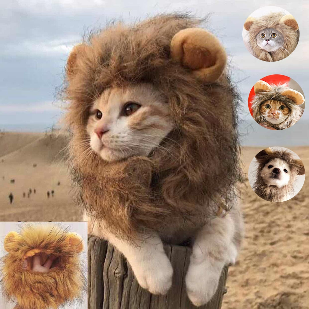 Apparel and Accessories - Lion Mane Cat Costume