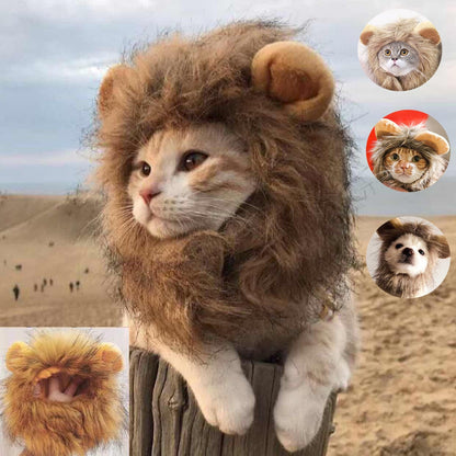 Apparel and Accessories - Lion Mane Cat Costume