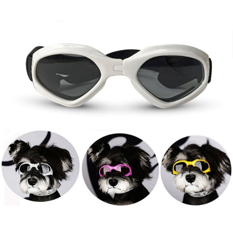 Apparel and Accessories - Dog Sunglasses