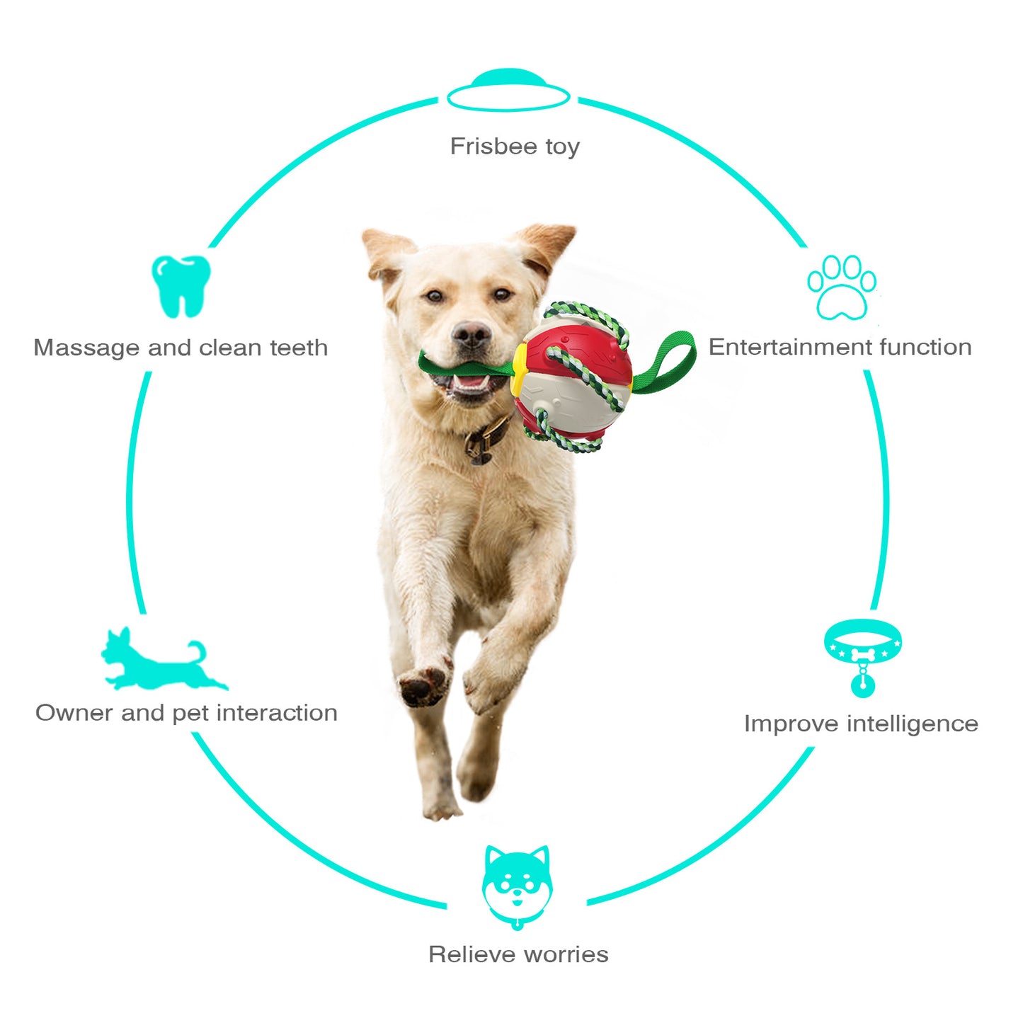 Toys - Interactive Dog Toy