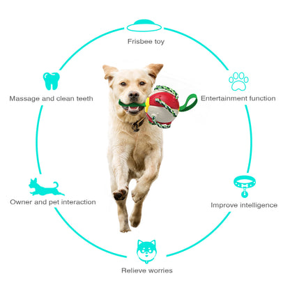 Toys - Interactive Dog Toy