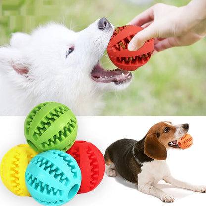 Toy - Dog Chew Toy