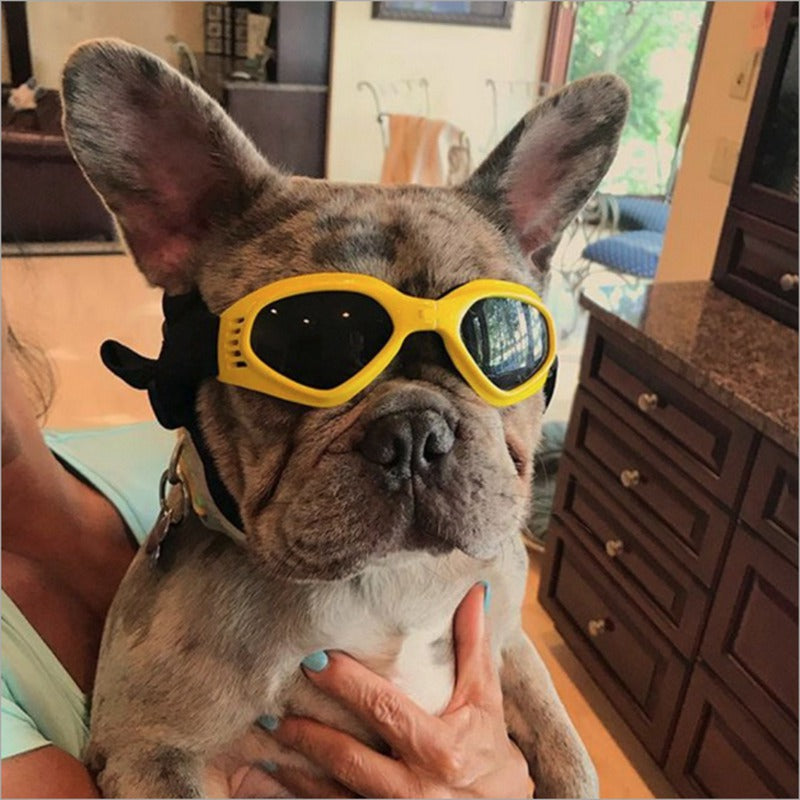 Apparel and Accessories - Dog Sunglasses