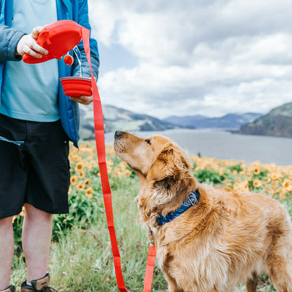 Collars, Leashes, and Harnesses - Multifunctional Pet Leash