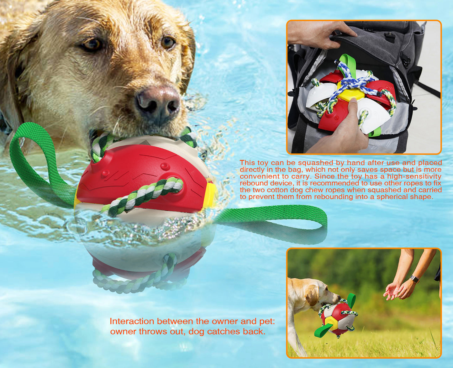 Toys - Interactive Dog Toy