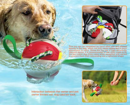 Toys - Interactive Dog Toy