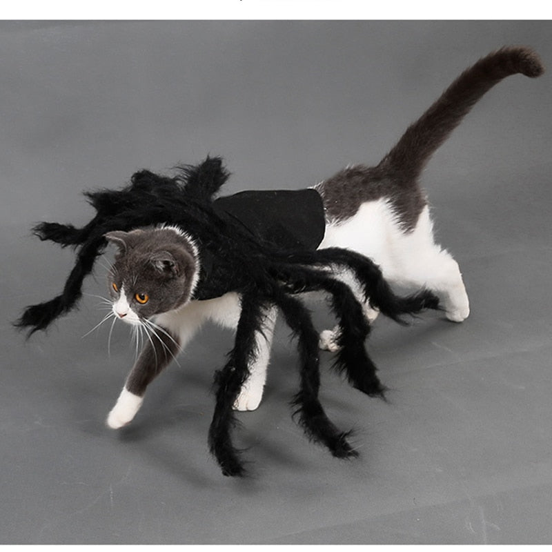 Apparel and Accessories - Spider Costume for Pets