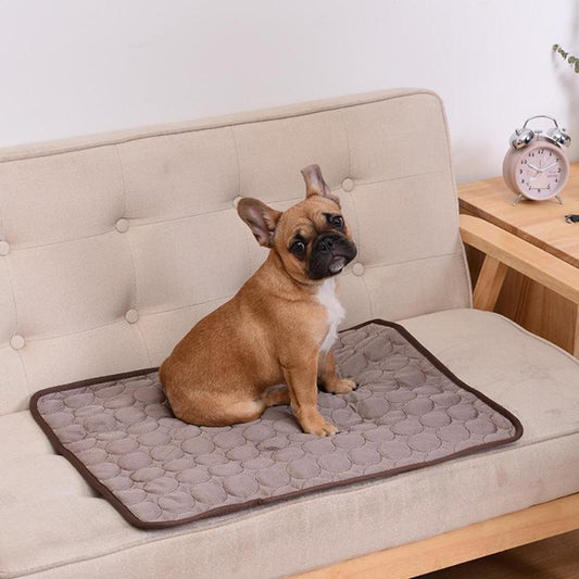 Bedding and Crates - Pet Breathable Sofa Blanket