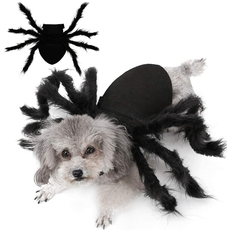 Apparel and Accessories - Spider Costume for Pets