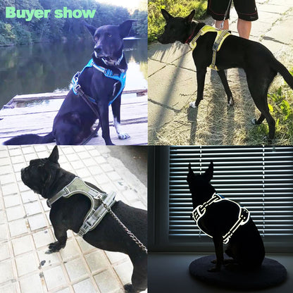 Collars, Leashes, and Harnesses - Dog Harness