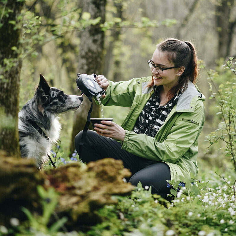 Collars, Leashes, and Harnesses - Multifunctional Pet Leash