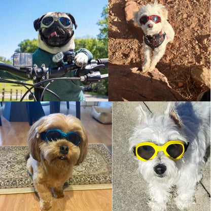 Apparel and Accessories - Dog Sunglasses