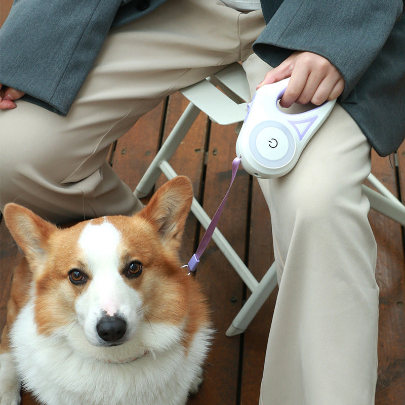 Collars, Leashes, and Harnesses - Led Lights Dog Leash