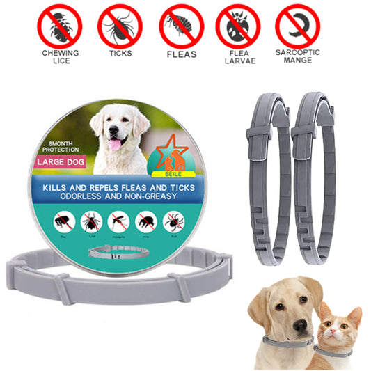 Health and Wellness Products - Anti-Flea Pet Necklace