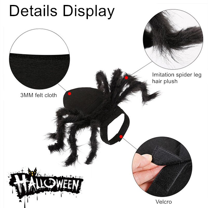 Apparel and Accessories - Spider Costume for Pets