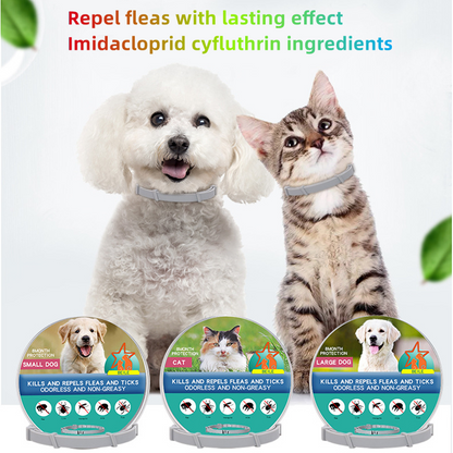 Health and Wellness Products - Anti-Flea Pet Necklace