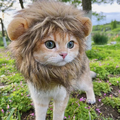 Apparel and Accessories - Lion Mane Cat Costume